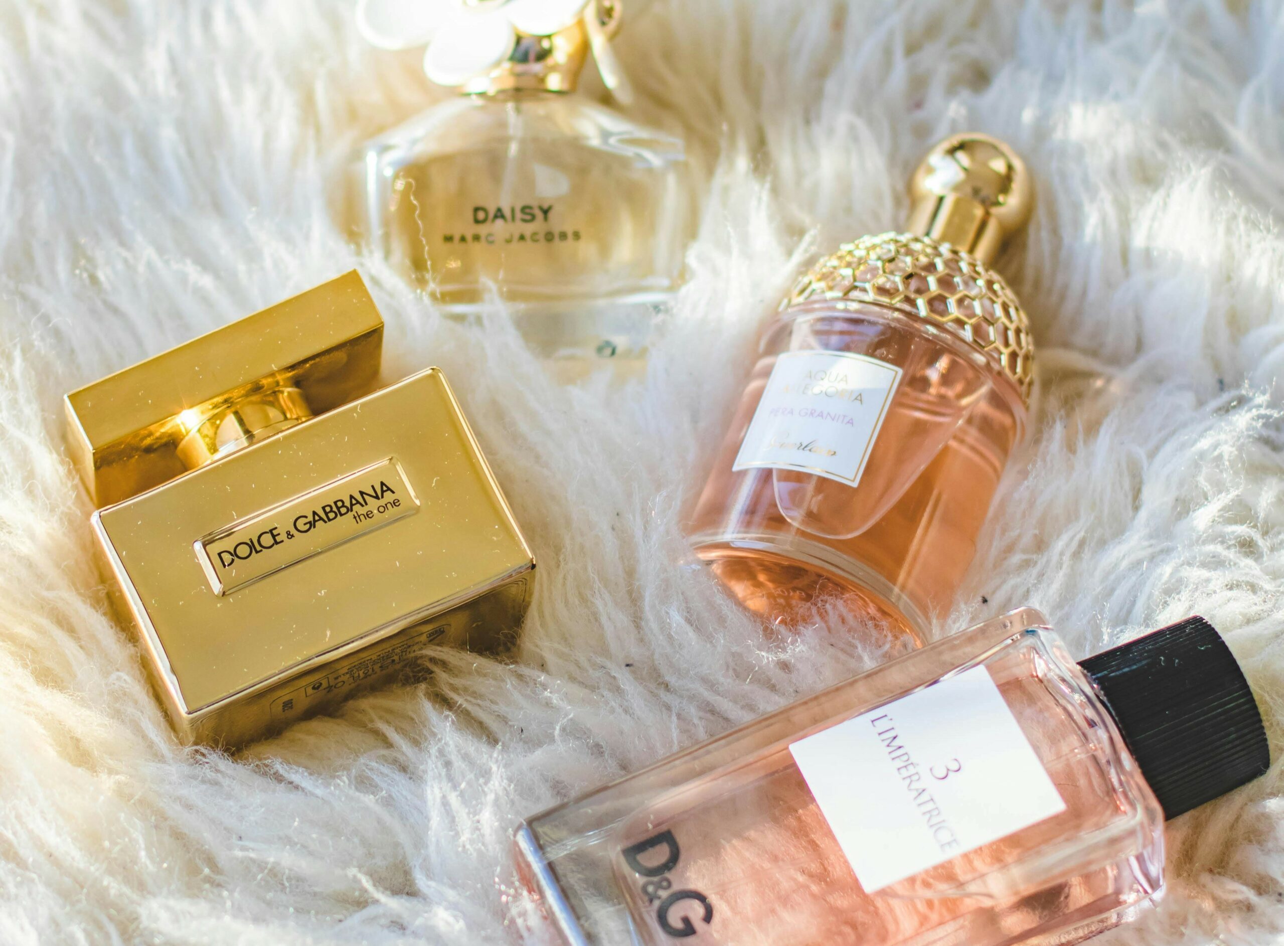 The Best Perfume for an Escort